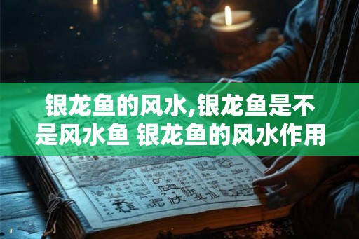 银龙鱼的风水,银龙鱼是不是风水鱼 银龙鱼的风水作用 银龙鱼的风水,银龙鱼是不是风水鱼 银龙鱼的风水作用