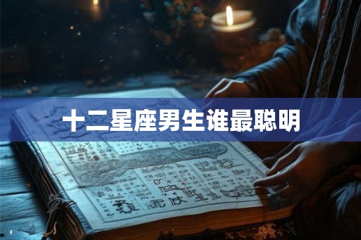 十二星座男生谁最聪明