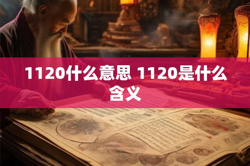 1120什么意思 1120是什么含义