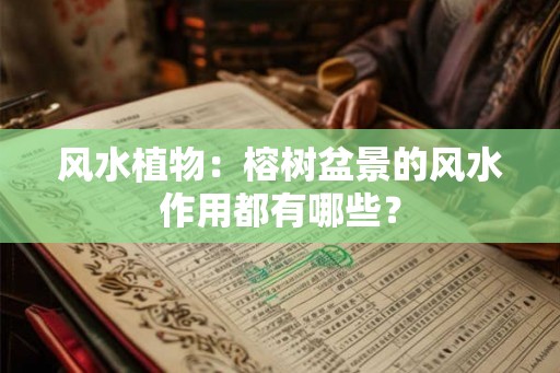 风水植物：榕树盆景的风水作用都有哪些？