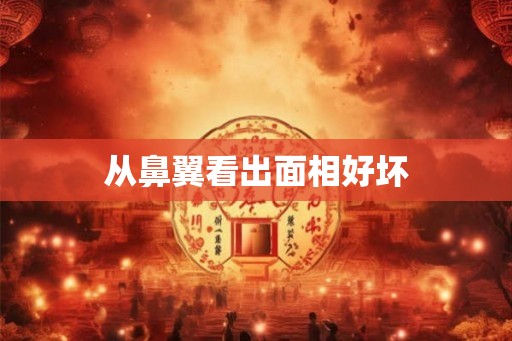 从鼻翼看出面相好坏 从鼻翼看出面相好坏