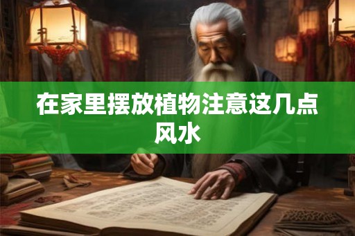 在家里摆放植物注意这几点风水