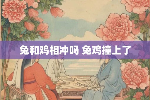 兔和鸡相冲吗 兔鸡撞上了 兔和鸡相冲吗 兔鸡撞上了