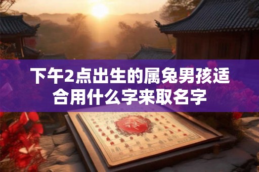 下午2点出生的属兔男孩适合用什么字来取名字