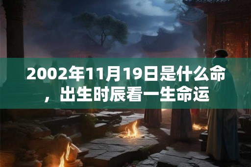 2002年11月19日是什么命，出生时辰看一生命运