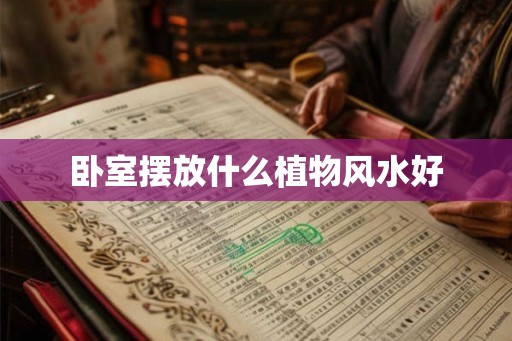 卧室摆放什么植物风水好