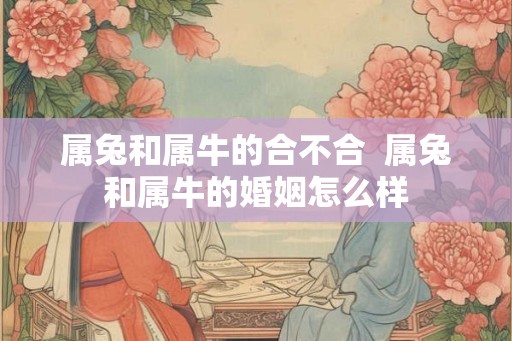 属兔和属牛的合不合  属兔和属牛的婚姻怎么样