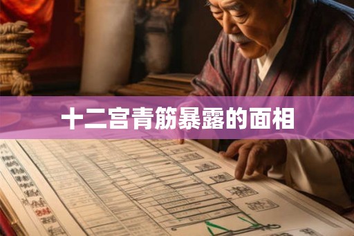 十二宫青筋暴露的面相 十二宫青筋暴露的面相
