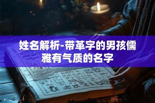 姓名解析-带革字的男孩儒雅有气质的名字