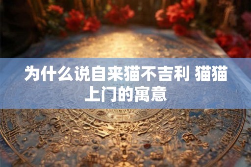 为什么说自来猫不吉利 猫猫上门的寓意
