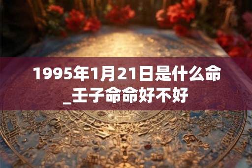 1995年1月21日是什么命_壬子命命好不好