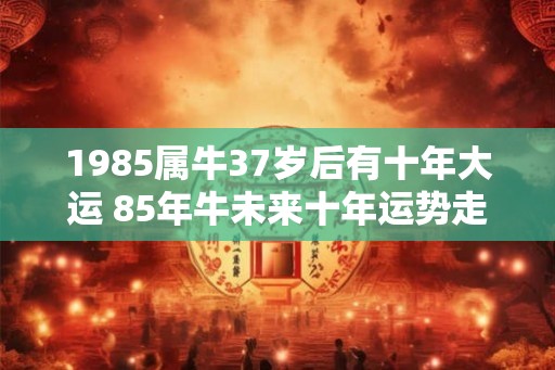 1985属牛37岁后有十年大运 85年牛未来十年运势走向如何