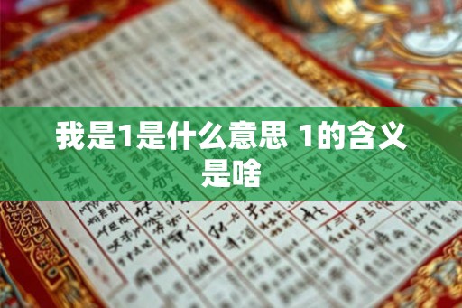 我是1是什么意思 1的含义是啥