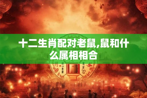 十二生肖配对老鼠,鼠和什么属相相合