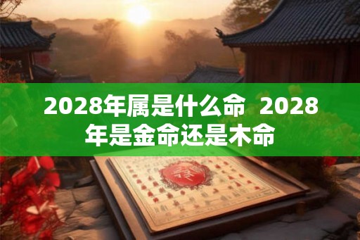 2028年属是什么命  2028年是金命还是木命
