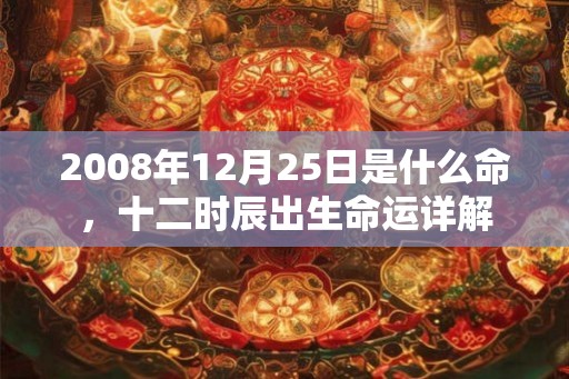 2008年12月25日是什么命，十二时辰出生命运详解