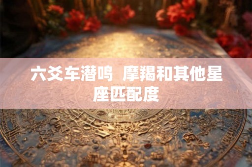 六爻车潜鸣  摩羯和其他星座匹配度