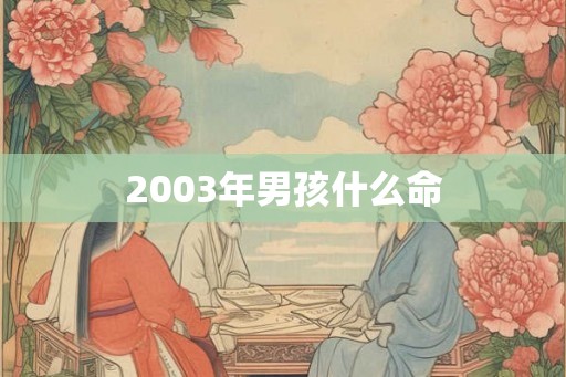 2003年男孩什么命