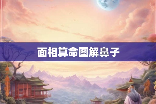 面相算命图解鼻子