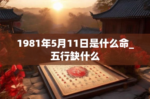 1981年5月11日是什么命_五行缺什么