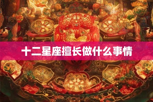 十二星座擅长做什么事情