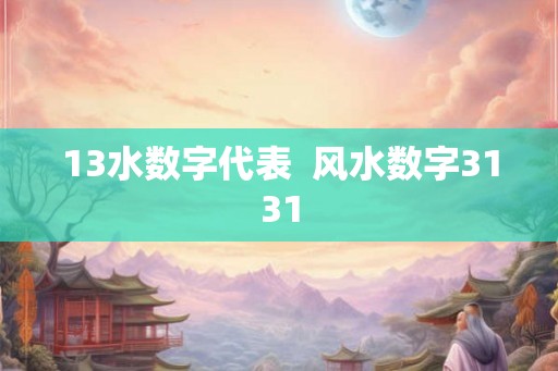 13水数字代表  风水数字3131