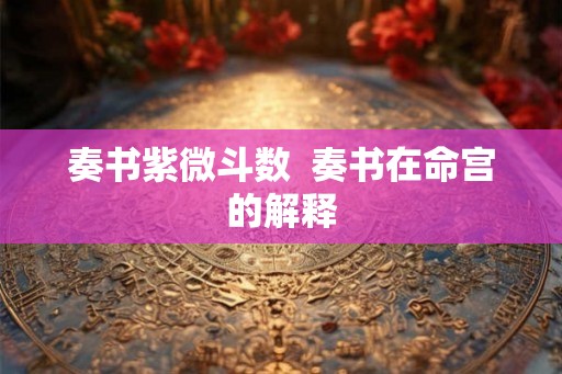奏书紫微斗数  奏书在命宫的解释