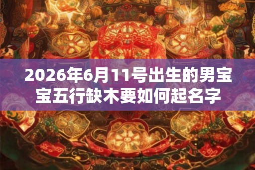 2026年6月11号出生的男宝宝五行缺木要如何起名字
