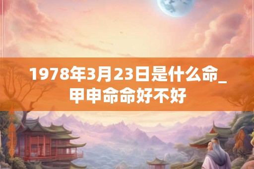 1978年3月23日是什么命_甲申命命好不好