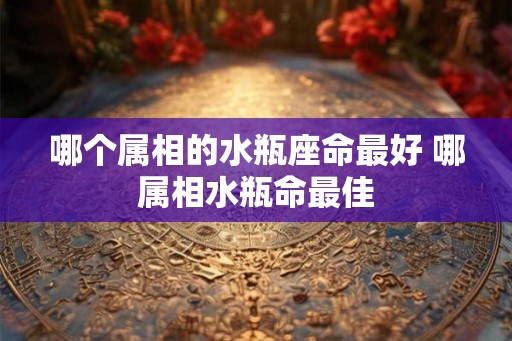 哪个属相的水瓶座命最好 哪属相水瓶命最佳