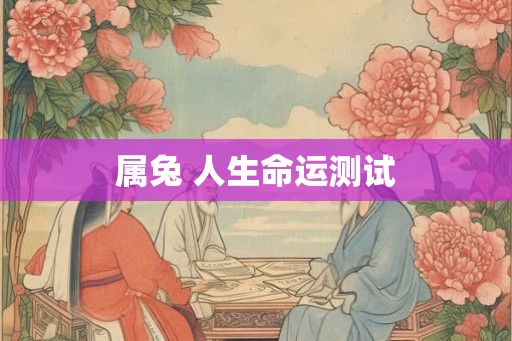 属兔 人生命运测试