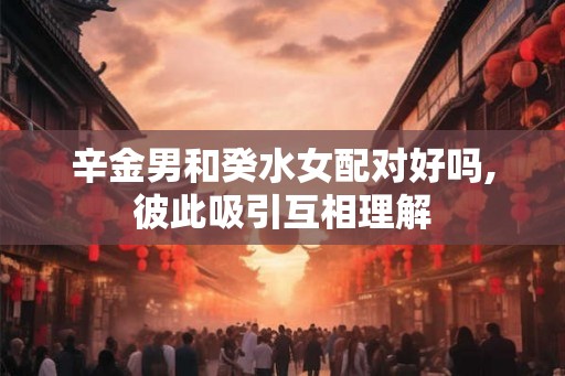 辛金男和癸水女配对好吗,彼此吸引互相理解