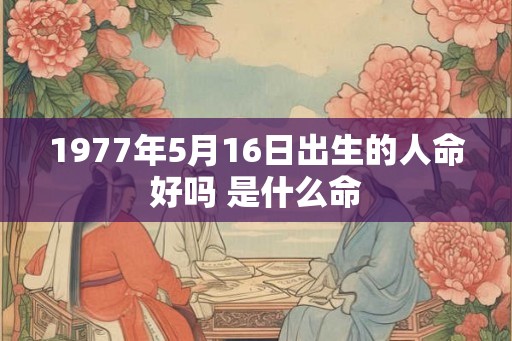 1977年5月16日出生的人命好吗 是什么命 1977年5月16日出生的人命好吗 是什么命