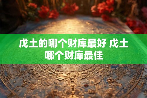 戊土的哪个财库最好 戊土哪个财库最佳