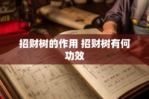 招财树的作用 招财树有何功效 招财树的作用 招财树有何功效