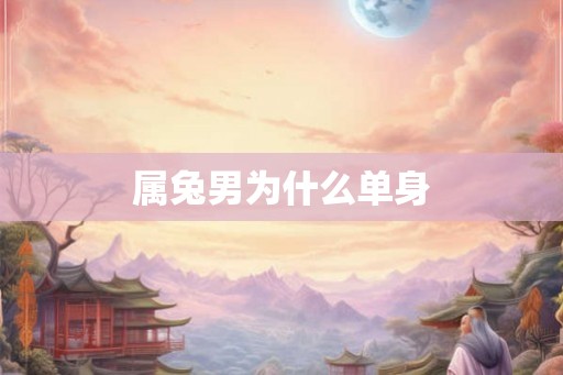 属兔男为什么单身
