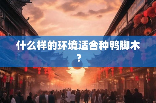 什么样的环境适合种鸭脚木？