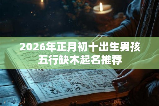 2026年正月初十出生男孩五行缺木起名推荐