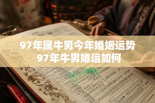 97年属牛男今年婚姻运势 97年牛男婚运如何
