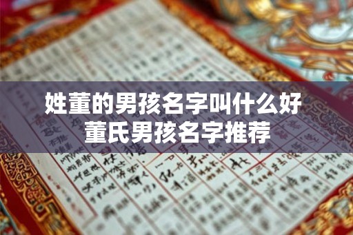 姓董的男孩名字叫什么好 董氏男孩名字推荐 姓董的男孩名字叫什么好 董氏男孩名字推荐