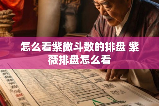 怎么看紫微斗数的排盘 紫薇排盘怎么看
