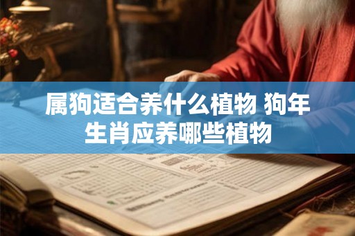 属狗适合养什么植物 狗年生肖应养哪些植物