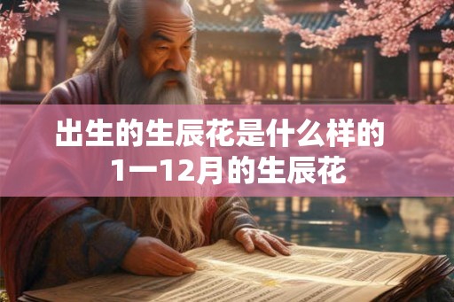 出生的生辰花是什么样的  1一12月的生辰花