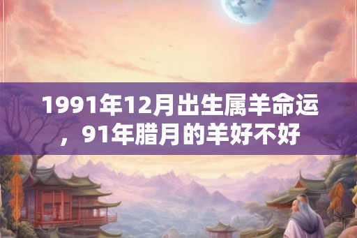 1991年12月出生属羊命运，91年腊月的羊好不好
