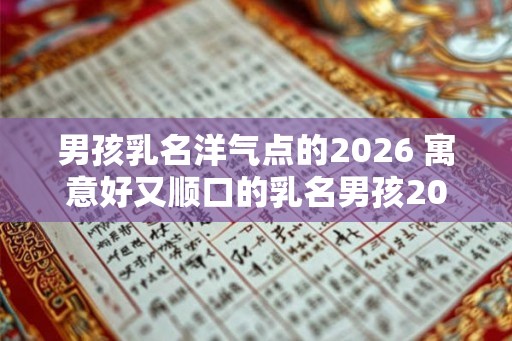 男孩乳名洋气点的2026 寓意好又顺口的乳名男孩2026