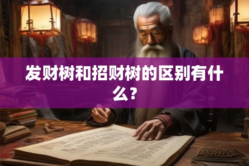 发财树和招财树的区别有什么？