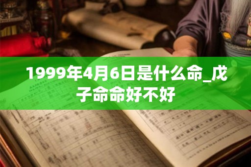 1999年4月6日是什么命_戊子命命好不好