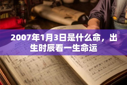 2007年1月3日是什么命，出生时辰看一生命运