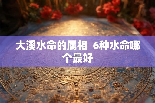 大溪水命的属相  6种水命哪个最好
