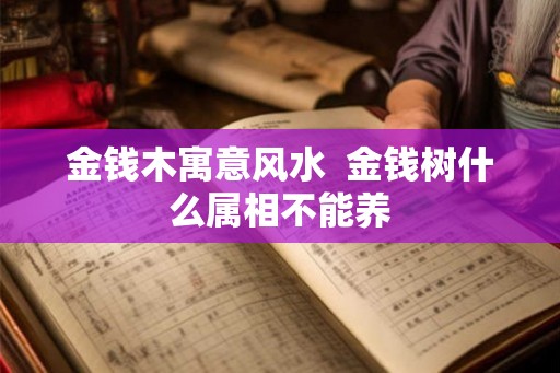 金钱木寓意风水  金钱树什么属相不能养